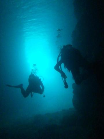 Marco教練、外科醫師 - 