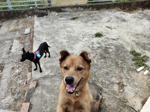 寶寶House渡假瘋 - 橘子、柚子