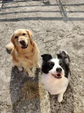 寶寶House渡假瘋 - 寶寶、貝拉