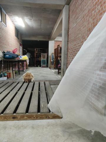 寶寶House渡假瘋 - 寶寶