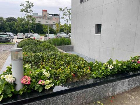 上善若水園藝景觀企業社 - 八德福音神學院花台景觀(施作後) 上善若水園藝景觀企業社 - 八德福音神學院花台景觀(施作後)