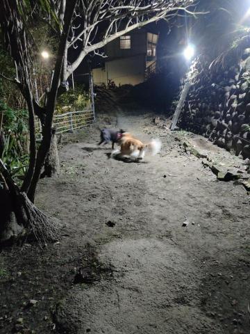 寶寶House渡假瘋 - 寶寶、麻糬