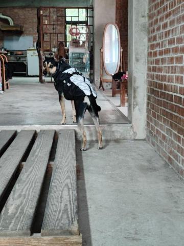 寶寶House渡假瘋 - 福寶