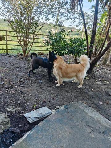 寶寶House渡假瘋 - 寶寶、麻糬 社恐組