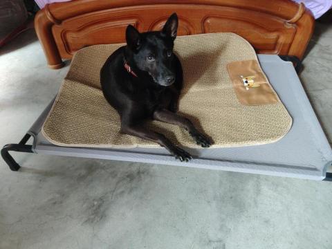 寶寶House渡假瘋 - lucky 