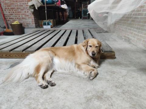 寶寶House渡假瘋 - 寶寶