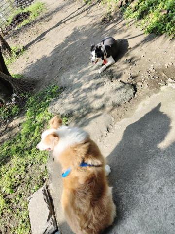 寶寶House渡假瘋 - 貝拉、麥麥