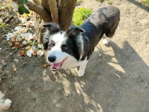 寶寶House渡假瘋 - 可愛的貝拉