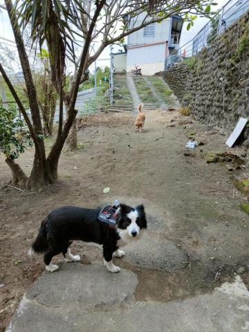 寶寶House渡假瘋 - 寶寶、貝拉