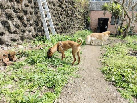 寶寶House渡假瘋 - 寶寶、Rio