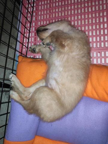 寶寶House渡假瘋 - 小莉