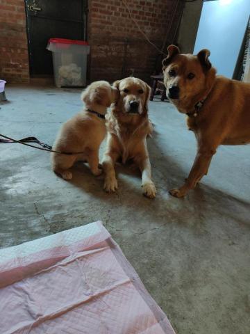 寶寶House渡假瘋 - 寶寶、橘子、小莉