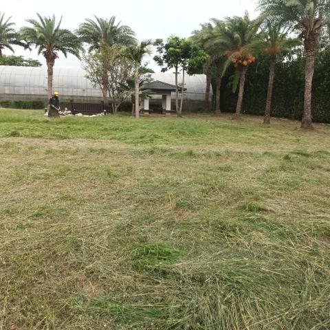 提供中古割草機服務的專家阿義園藝工程行