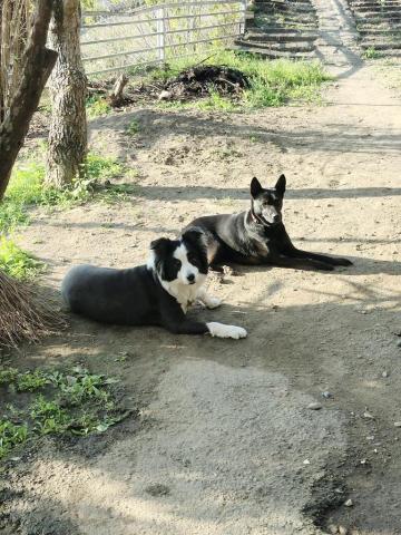 寶寶House渡假瘋 - 貝拉、Lucky