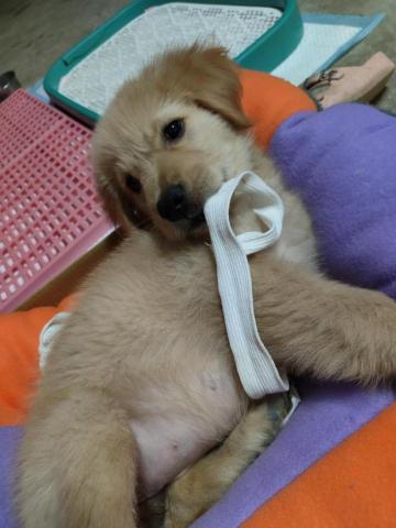 寶寶House渡假瘋 - 小莉 （算我這最小客戶了）