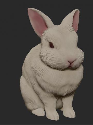M.Y 3D Studio 模型工作室  - 客戶委託 寵物模型3D建模