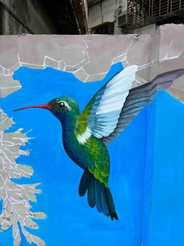 立羽工作室 - 壁畫

蜂鳥