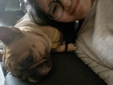 陳婉綾 - 寵物寄宿