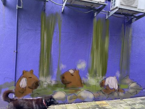 諦風工作室 -  諦風工作室 -