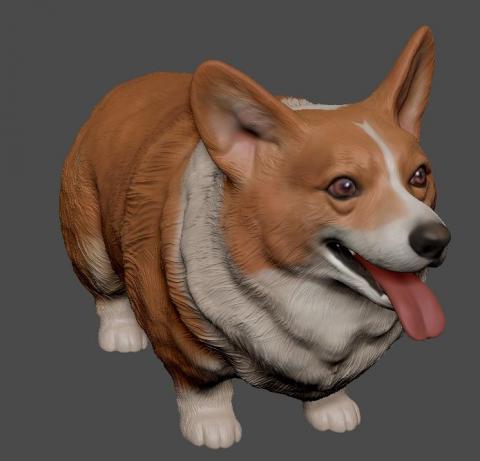 M.Y 3D Studio 模型工作室  - 客戶委託 寵物模型3D建模