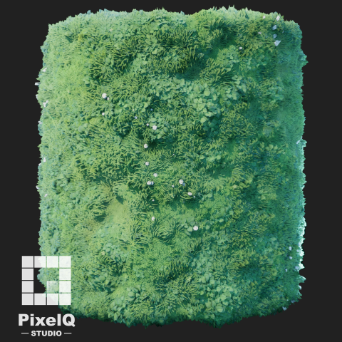 PixelQ 3D 藝術工作室 - made with substance designer