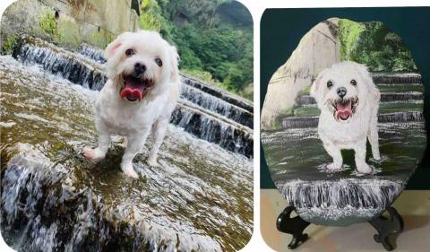 畫布、石頭彩繪(寵物、人物肖像似顏繪) - 此幅為飼主要求整個背景與提供的原圖相同來製作彩繪。[原圖重現]令人感到療癒。此顆售價$1,500元。來圖即繪，最快一天可完成寄出客戶指定地址。(台中地區可親送府或面交)