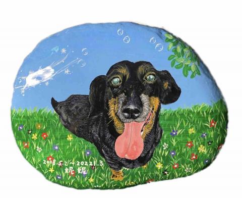 畫布、石頭彩繪(寵物、人物肖像似顏繪) - 