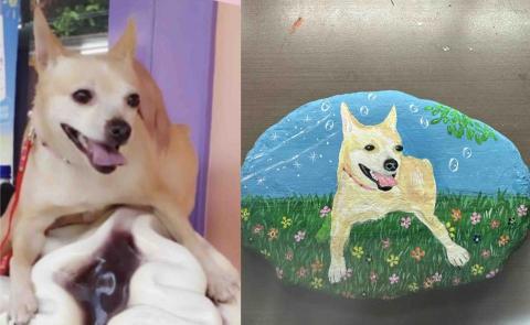 畫布、石頭彩繪(寵物、人物肖像似顏繪) - 左圖為客戶來圖照片，右圖為手繪成品，極具紀念收藏價值。(定價$1,500)