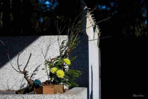 植韻室內及花藝設計 - 