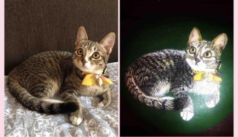 畫布、石頭彩繪(寵物、人物肖像似顏繪) - 左圖為客戶來圖照片，右圖為手繪成品，極具紀念收藏價值。(此圖背景較簡單，定價$800)