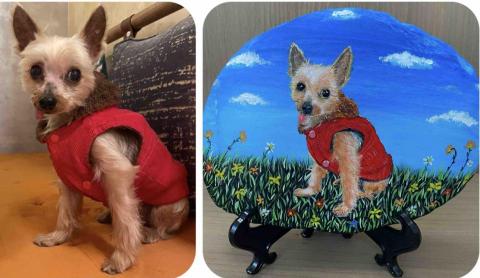 畫布、石頭彩繪(寵物、人物肖像似顏繪) - 左圖為客戶來圖照片，右圖為手繪成品，極具紀念收藏價值。(定價$1,500)