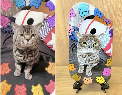 畫布、石頭彩繪(寵物、人物肖像似顏繪) - 左圖為客戶來圖臭臉貓咪原始照片，希望能依照整張原來的圖像背景完整入畫，右圖為手繪成品，極具紀念收藏價值。訂價$1,500元。