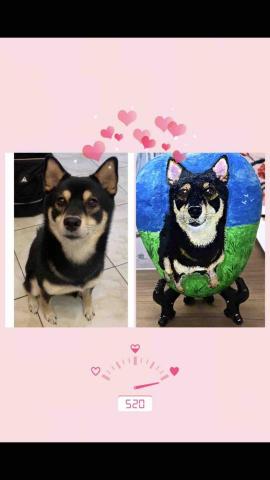 畫布、石頭彩繪(寵物、人物肖像似顏繪) - 此為練習手感，神韻都有抓到。