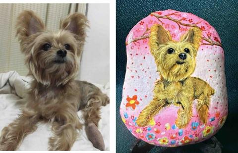 畫布、石頭彩繪(寵物、人物肖像似顏繪) - 左圖為客戶來圖照片，右圖為手繪成品，極具紀念收藏價值。(定價$1500)