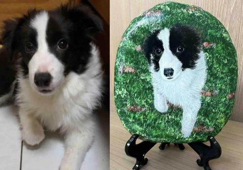 畫布、石頭彩繪(寵物、人物肖像似顏繪) - 左圖為客戶來圖照片，右圖為手繪成品，極具紀念收藏價值。(定價$1,500)