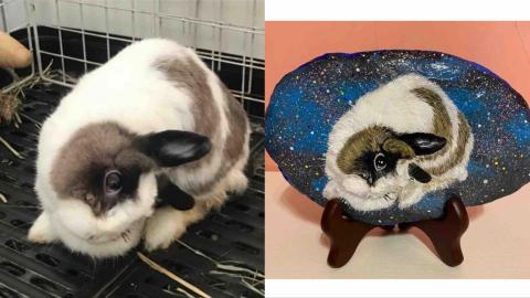 畫布、石頭彩繪(寵物、人物肖像似顏繪) - 左圖為客戶來圖照片，右圖為手繪成品，極具紀念收藏價值。(定價$1,500)