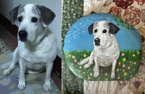 畫布、石頭彩繪(寵物、人物肖像似顏繪) - 左圖為客戶來圖照片，右圖為手繪成品，極具紀念收藏價值。(定價$1,500)