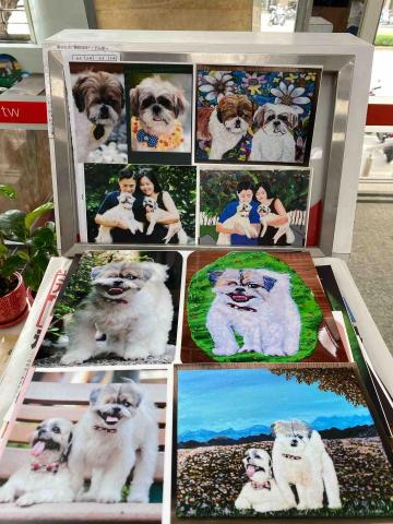畫布、石頭彩繪(寵物、人物肖像似顏繪) - 左圖原始照，右圖成品。