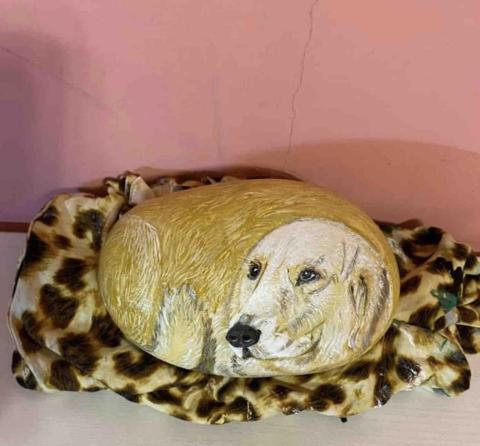 畫布、石頭彩繪(寵物、人物肖像似顏繪) - 