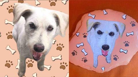 畫布、石頭彩繪(寵物、人物肖像似顏繪) - 左圖為客戶來圖原始照片，飼主希望原圖重現完整入畫，右圖即為手繪成品，極具紀念、收藏意義，訂價$1,500元。