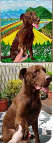 畫布、石頭彩繪(寵物、人物肖像似顏繪) - 此幅為8號油畫布，尺寸：45x33cm，售價2,500元，大約耗時一週。(壓克力彩繪製)