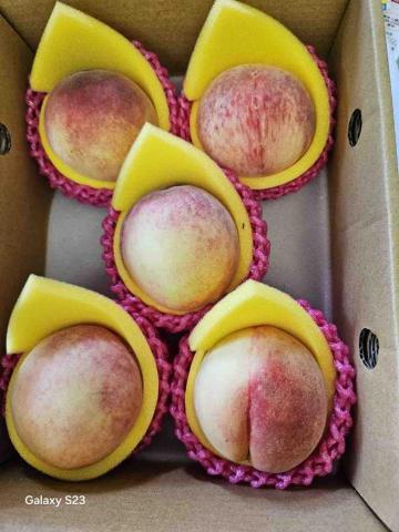 小麥麥水果行 - 