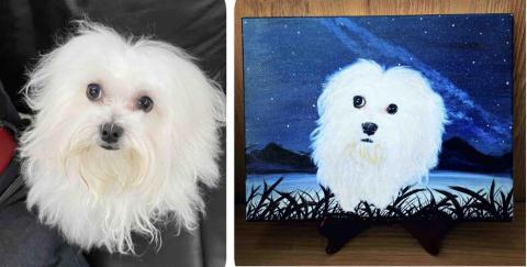 畫布、石頭彩繪(寵物、人物肖像似顏繪) - 此幅為5號無框油畫布，尺吋35x24cm,背景為飼主要求夜晚有星空，訂價$2,100。