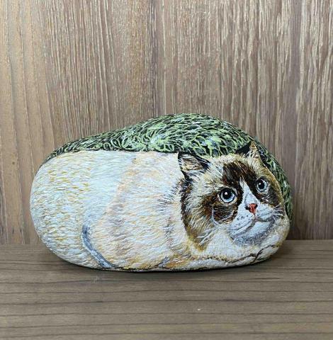 畫布、石頭彩繪(寵物、人物肖像似顏繪) - 整顆防水石彩，訂價$800元。