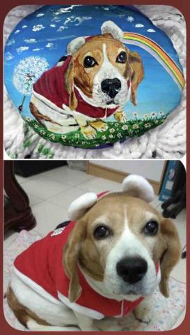 畫布、石頭彩繪(寵物、人物肖像似顏繪) - 極具紀念收藏價值。(定價$1,500)