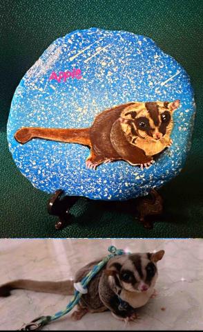 畫布、石頭彩繪(寵物、人物肖像似顏繪) - 極具紀念收藏價值。(定價$1,500)