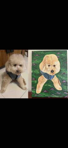 畫布、石頭彩繪(寵物、人物肖像似顏繪) - 此幅為五號油畫布，尺吋35x24cm,售價$2100。(壓克力彩)