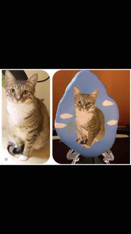 畫布、石頭彩繪(寵物、人物肖像似顏繪) - 左圖為客戶來圖照片，右圖為手繪成品，極具紀念收藏價值。(此圖背景較簡單，定價$800)