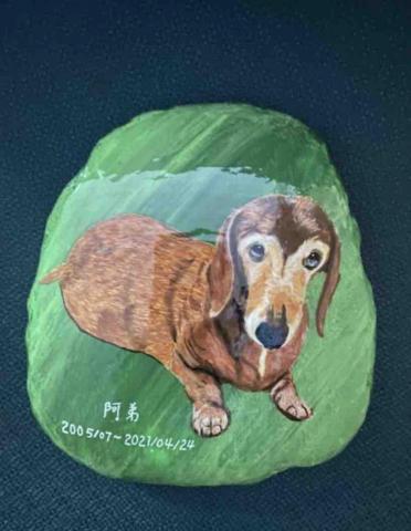 畫布、石頭彩繪(寵物、人物肖像似顏繪) - 石頭彩繪具有紀念及收藏價值。(定價$800)