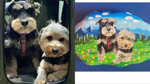 畫布、石頭彩繪(寵物、人物肖像似顏繪) - 左圖為客戶來圖照片，右圖為手繪成品，極具紀念收藏價值。(兩隻加價$300，定價$1,800)